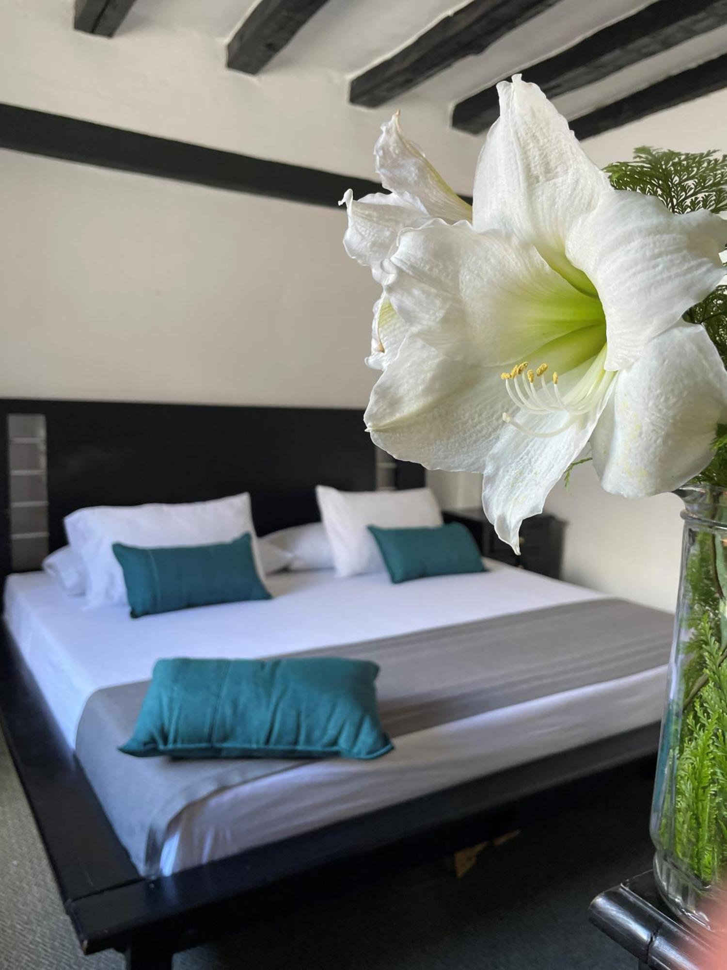 Hotel Premium Real Меделин Екстериор снимка